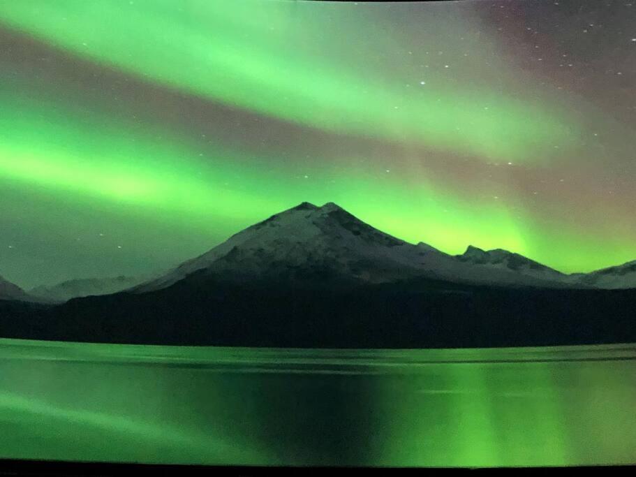 Northern Light Τρόμσο Εξωτερικό φωτογραφία