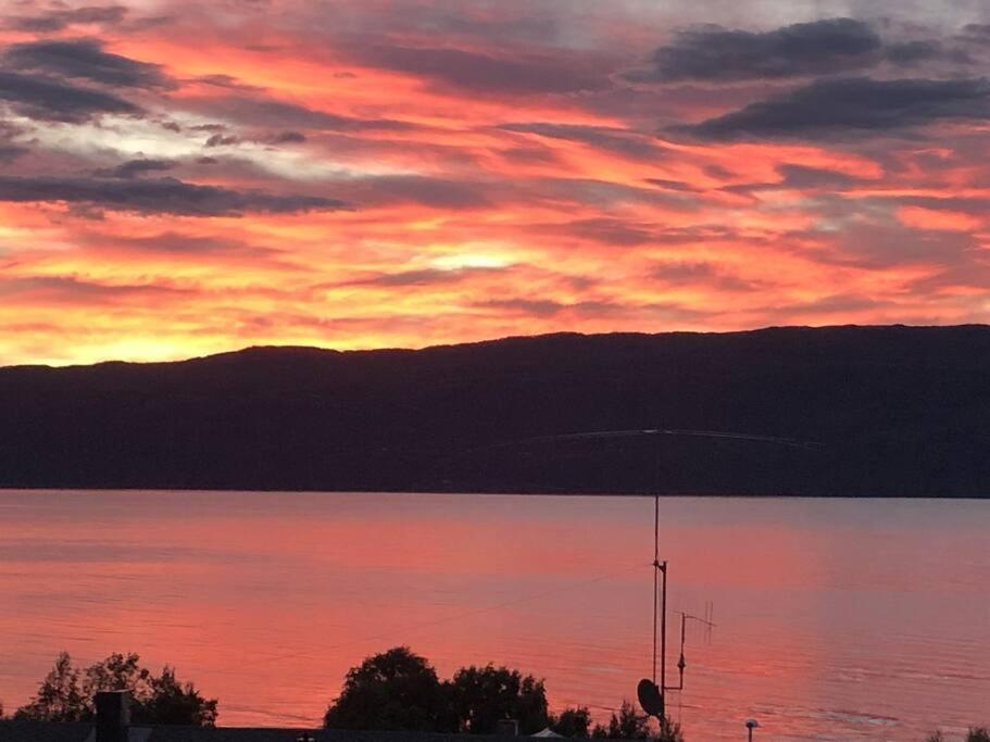 Northern Light Τρόμσο Εξωτερικό φωτογραφία